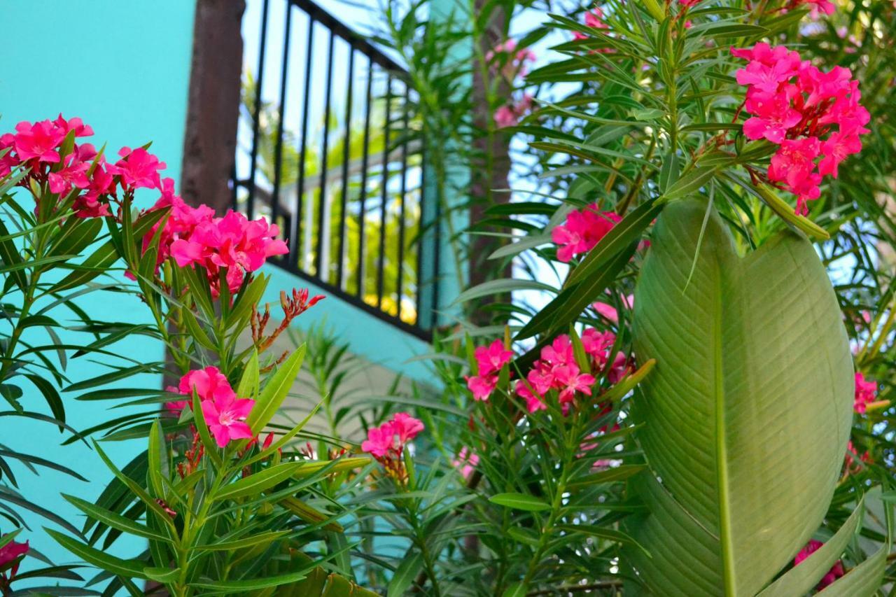 Emerald Beach Resort Altona Esterno foto
